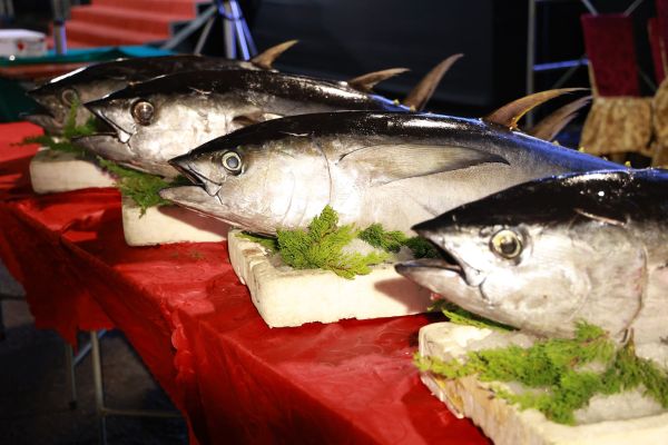 大鮪魷秋季海味晚宴　陳其邁與民同樂　品嘗頂級遠洋海味2